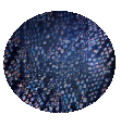 world2.gif - 10.1 K